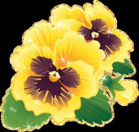 Открытки с разноцветными анютиными глазками  Открытки с разноцветными анютиными глазками скачать бесплатно.