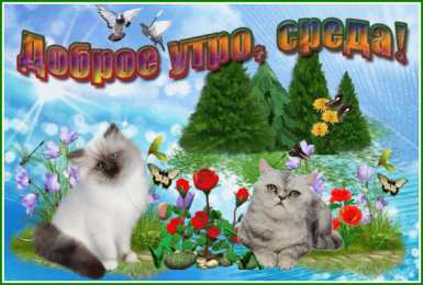 Открытки на среду Открытки на среду скачать. Открытки на среду с пожеланиями бесплатно.