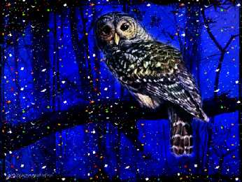 Открытки с совами  Открытки с совами скачать. Открытки с совами бесплатно онлайн.