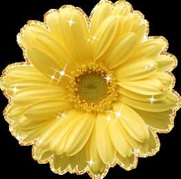 Открытки с герберами  Открытки с герберами скачать бесплатно. Открытки с герберами gif.