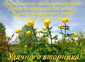 Открытки на вторник Открытки на вторник скачать. Открытки на вторник бесплатно онлайн.