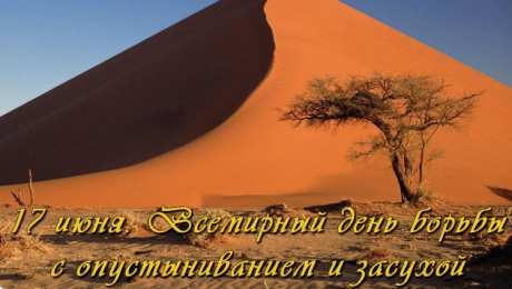 Открытки со Всемирным днём борьбы с засухой и опустыниванием  Открытки со Всемирным днём борьбы с засухой и опустыниванием.