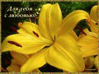 Открытки с желтыми лилиями  Открытки с желтыми лилиями gif. Открытки с желтыми лилиями скачать.