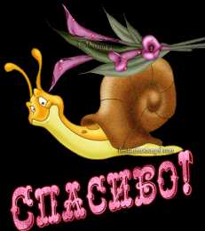 Открытки с улитками  Открытки с улитками скачать бесплатно. Открытки с улитками онлайн.