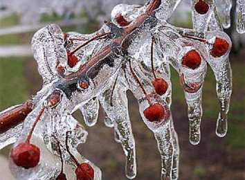 Открытки с сосульками Открытки с сосульками скачать бесплатно. Открытки с сосульками gif.