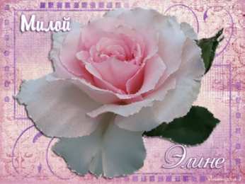 Открытки с именем Элина Открытки с именем Элина скачать бесплатно. Открытки с именем Эля.