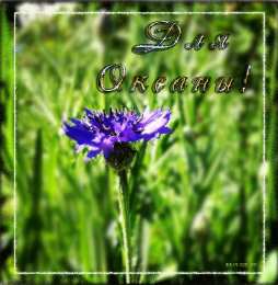 Открытки с именем Оксана Открытки с именем Оксана с анимациями. С днём рождения Оксана открытки.