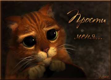 Открытки со Шреком Открытки со Шреком скачать бесплатно. Открытки со Шреком онлайн.