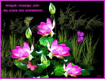 Открытки лето Красивые открытки лето. Скачать бесплатно открытки лето gif.