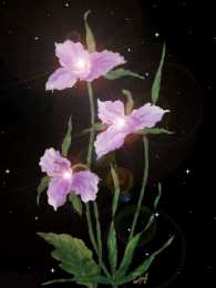 Открытки с ирисами  Открытки с ирисами скачать. Открытки с ирисами бесплатно онлайн.