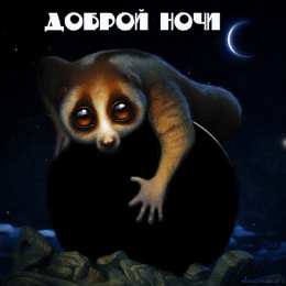 Открытки с енотами Открытки с енотами скачать бесплатно. Открытки с енотами gif.