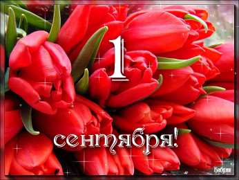 Открытки на 1 сентября Скачать бесплатные Открытки на 1 сентября с  анимациями gif.