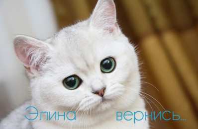 Открытки с именем Элина Открытки с именем Элина скачать бесплатно. Открытки с именем Эля.