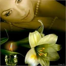 Открытки с белой лилией  Открытки с белой лилией скачать бесплатно. Открытки с белой лилией gif.