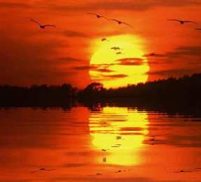 Открытки с закатом  Открытки с закатом скачать бесплатно. Открытки с закатом gif.