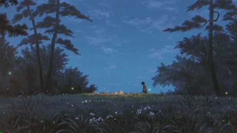 Открытки со светлячками  Открытки со светлячками с анимациями. Лесные светлячки открытки.