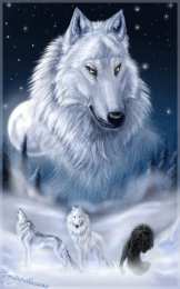 Открытки с волками Анимационные открытки с волками. Скачать открытки с волками gif.