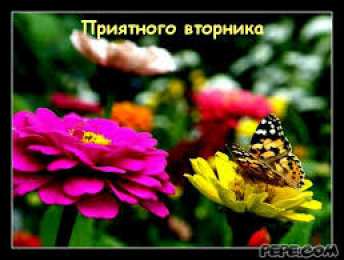 Открытки на вторник Открытки на вторник скачать. Открытки на вторник бесплатно онлайн.