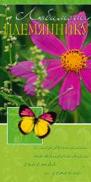 Открытки с днём рождения племяннику Открытки с днём рождения племяннику с пожеланиями скачать бесплатно.