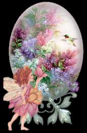 Открытки с колибри Открытки с колибри скачать бесплатно. Открытки с колибри онлайн.