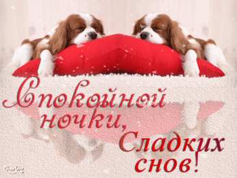 Открытки с собаками Анимационные открытки с собаками. Скачать бесплатно открытки с собаками.