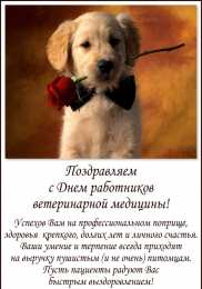 Открытки с Международным днём ветеринара Открытки с Международным днём ветеринара скачать бесплатно.