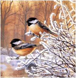 Открытки с инеем  Открытки с инеем скачать бесплатно. Открытки с инеем gif.     