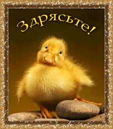 Открытки с приветствием   Скачать  красивые  Открытки с  приветствием  бесплатно gif.