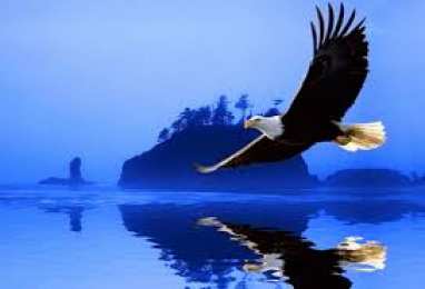 Открытки с орлом Открытки с орлом скачать бесплатно. Открытки с орлом онлайн.