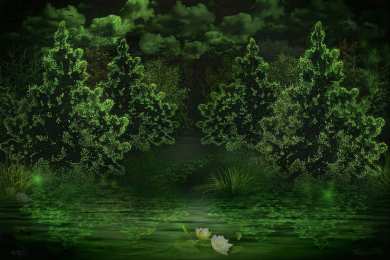 Открытки с летним лесом Открытки с летним лесом бесплатно онлайн. Красивые открытки с лесом.