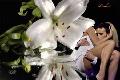 Открытки с белой лилией  Открытки с белой лилией скачать бесплатно. Открытки с белой лилией gif.