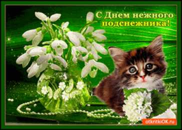 Открытки с днём подснежника Открытки с днём подснежника gif. Открытки с днём подснежника скачать.