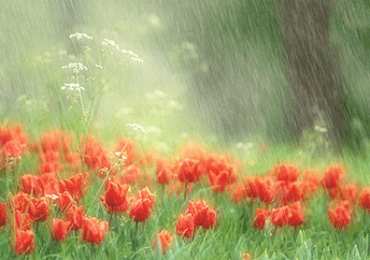 Открытки с дождём Открытки с дождём скачать бесплатно. Открытки с дождём с анимациями.