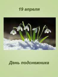 Открытки с днём подснежника Открытки с днём подснежника gif. Открытки с днём подснежника скачать.