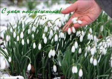 Открытки с днём подснежника Открытки с днём подснежника gif. Открытки с днём подснежника скачать.