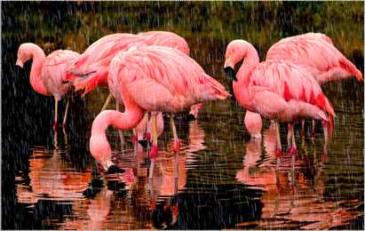 Открытки с фламинго Открытки с фламинго с анимациями. Открытки с фламинго скачать.