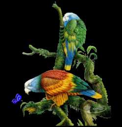 Открытки с попугаями  Открытки с попугаями скачать. Открытки с попугаями бесплатно.