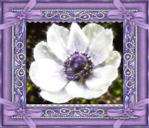 Открытки с анемонами  Открытки с анемонами скачать бесплатно. Открытки с анемонами онлайн.