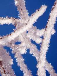 Открытки с инеем  Открытки с инеем скачать бесплатно. Открытки с инеем gif.     