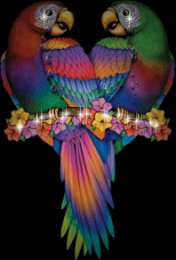 Открытки с попугаями  Открытки с попугаями скачать. Открытки с попугаями бесплатно.