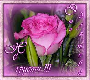 Открытки не грусти Открытки не грусти с пожеланиями скачать. Бесплатные Открытки не грусти.