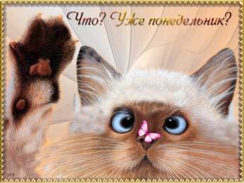 Открытки на понедельник Открытки на понедельник скачать. Открытки на понедельник бесплатно.