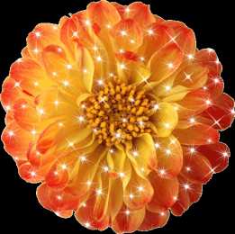 Открытки с бархатцами  Открытки с бархатцами онлайн бесплатно. Открытки с бархатцами скачать.