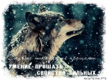 Открытки с волками Анимационные открытки с волками. Скачать открытки с волками gif.