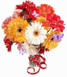 Открытки с герберами  Открытки с герберами скачать бесплатно. Открытки с герберами gif.