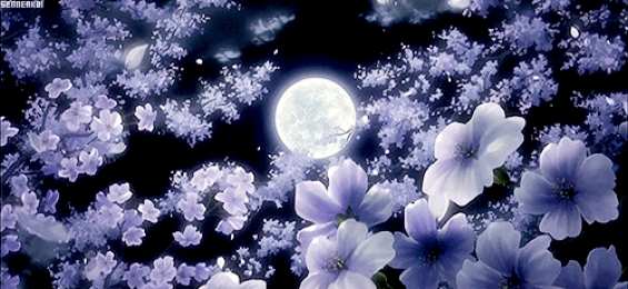 Открытки с сакурой  Открытки с сакурой gif. Дерево сакуры открытки скачать бесплатно.