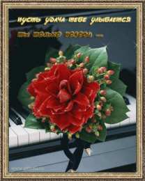 Открытки желаю удачи  Красивые анимационные открытки желаю удачи скачать бесплатно.