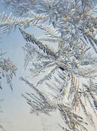 Открытки с инеем  Открытки с инеем скачать бесплатно. Открытки с инеем gif.     