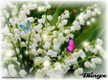 Открытки с ландышами  Открытки с ландышами скачать. Открытки с ландышами онлайн бесплатно.