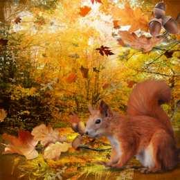 Открытки с осенним лесом Открытки с осенним лесом скачать. Открытки с осенним лесом бесплатно.